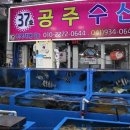 대천수산회센타