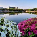 칼럼 쓰기 이미지