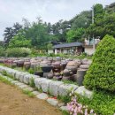 장모님신 짬뽕 이미지