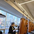 마린킹콩 복싱아카데미 이미지