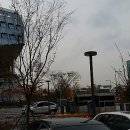 세종시청 후문 이미지