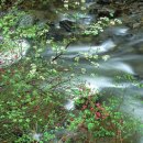 숨쉬는 돌 이미지