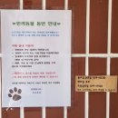 일산 밤리단길 수플레 디저트 소요소요 내돈내산 후기