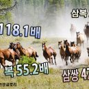 금요경마! “최훈“ 의 4할,死活 이미지