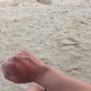 대장금삼겹살 | 보홀 할라망고 위치 : 대장금 한식 삼겹살 한식당 메뉴판 후기 : 밤수영