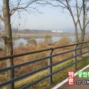 양평한강공인중개사사무소 이미지