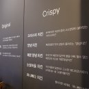 놀부옛날통닭 | 수원 인계동 놀부 옛날통닭 : 후라이드 치킨 솔직후기