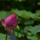 천생연분마을 이미지