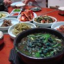 금강올갱이해장국 Daum카페
