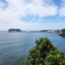 제주 서귀포 정방폭포 이미지