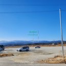 갤러리밥스 이미지