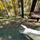 푼타하우스 | 푼타하우스 후기