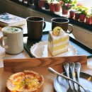 멍블리스 | 고기리 카페 봄나들이 블리스어라운드