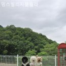 멍스빌리지풀빌라6 | 운악리 풀빌라 멍스빌리지풀빌라 편안하게 쉬어갈 수 있는 곳