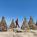 늑대와 여우 이미지