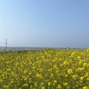 준용농장 이미지