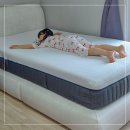 조야초등 | 초등학생 여아가 쓸 슈퍼싱글 패브릭 침대프레임 구매 후기