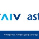 글로벌바이브