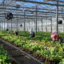 충남쌀슈퍼 이미지