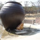 복두꺼비 이미지