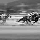 장원급제 이미지