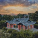 비안단테 이미지