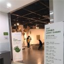 둘리뮤지엄 이미지