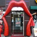 꼬레아이 이미지