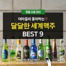 착한세계맥주