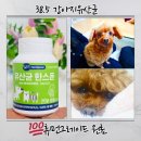 마음한스푼 | 강아지유산균·고양이유산균 고민 끝! 38.5 펫유산균 ‘유산균한스푼’ 솔직 급여 후기
