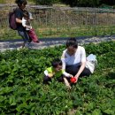 다우리어린이집 이미지