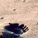 옥천식당 이미지