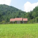 태기산막국수 이미지