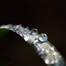 나뭇잎치과의원 이미지