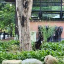 무릉도원면-32 이미지