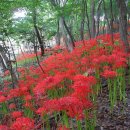 영광상사 이미지