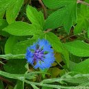 강내과의원 이미지