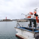 해맑은 수산 이미지