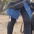 스터디독스쿨 이미지