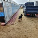 선들농장(1) | 고양시 원당동 농장 CCTV 벽걸이 모니터 설치 A/S 후기