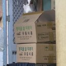 혜성분식 이미지
