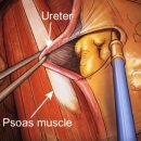인천가톨릭대학교 대학원 이미지