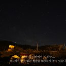 영암빈대떡 이미지