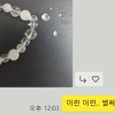 GS25사직점 이미지