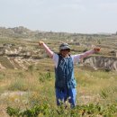 터키벨리 이미지