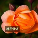 써튼영어학원