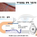 다시봄약국 이미지