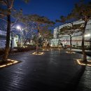 오산시중앙동행정복지센터 | ㈜트리메이트, 오산시 중앙동 행정복지센터에 야간 경관조명 기부