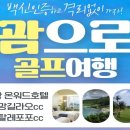 노블버디골프 이미지