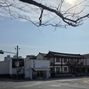 하얀집 - 완도군 금일로 836 | 하얀집